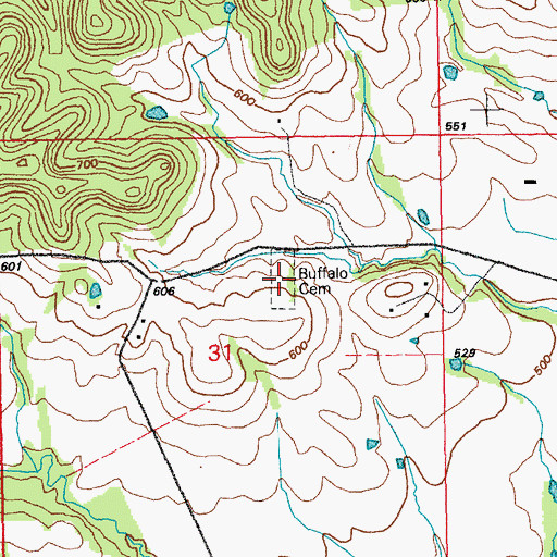 Topographic Map of Buffalo Cemetery, MO