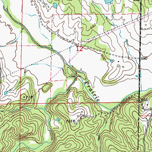 Topographic Map of Bull Branch, MO
