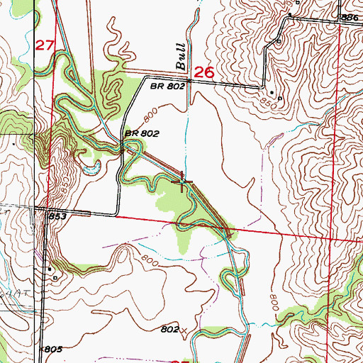 Topographic Map of Bull Branch, MO