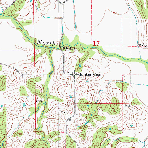 Topographic Map of Bunker Cemetery, MO