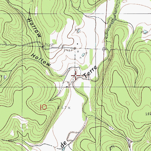 Topographic Map of Burbick Hollow, MO