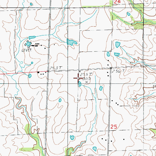 Topographic Map of Burch School, MO