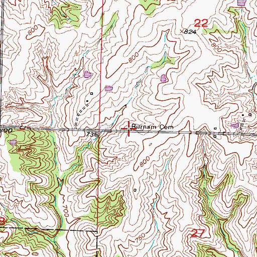 Topographic Map of Burnam Cemetery, MO