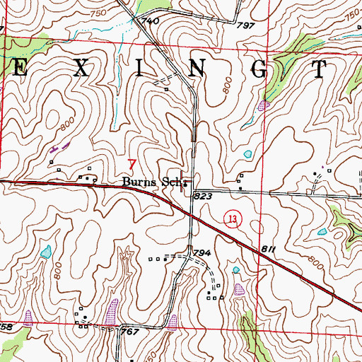 Topographic Map of Burns School (historical), MO