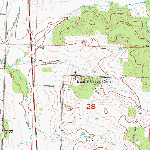 Topographic Map of Bushy Creek Cemetery, MO