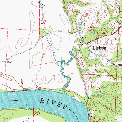 Topographic Map of Buster Branch, MO