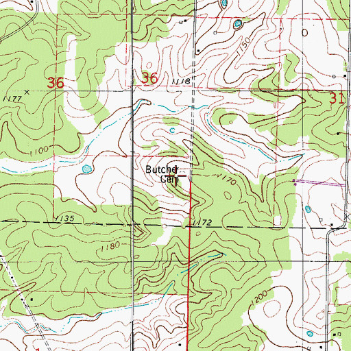 Topographic Map of Butcher Cemetery, MO
