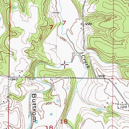 Topographic Map of Buttrom Hollow, MO