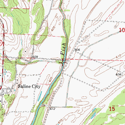 Topographic Map of Buzzard Branch, MO