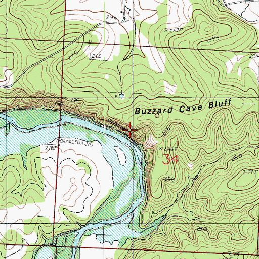 Topographic Map of Buzzard Cave Bluff, MO