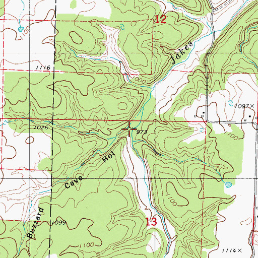 Topographic Map of Buzzard Cave Hollow, MO