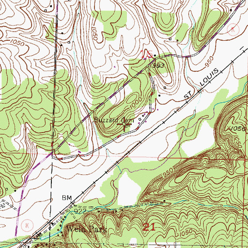 Topographic Map of Buzzard Cemetery, MO