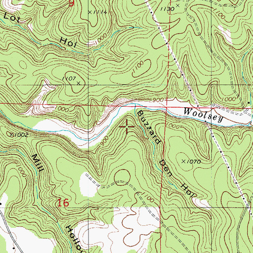 Topographic Map of Buzzard Den Hollow, MO