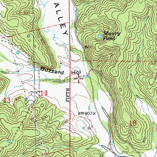 Topographic Map of Buzzard Hollow, MO