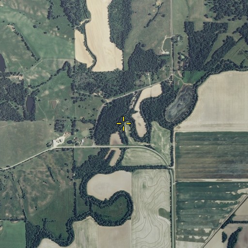 Aerial/Satellite Image of Buzzard Run, MO