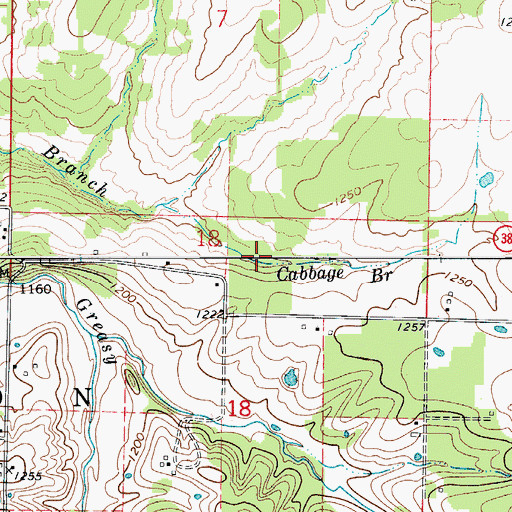 Topographic Map of Cabbage Branch, MO