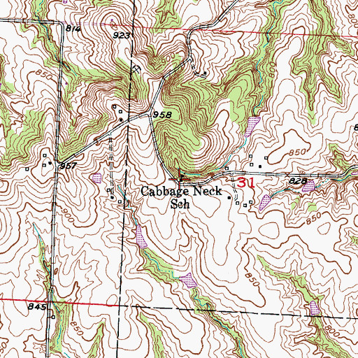 Topographic Map of Cabbage Neck School (historical), MO
