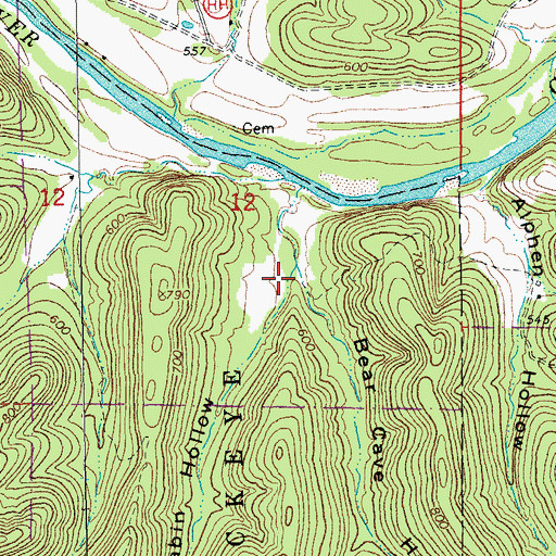 Topographic Map of Cabin Hollow, MO