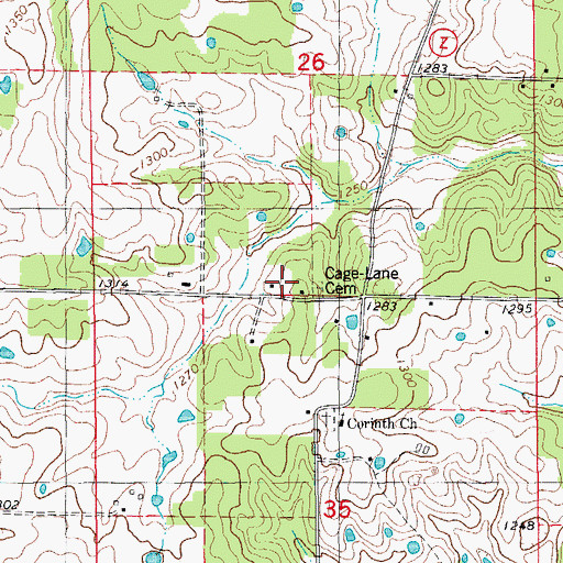Topographic Map of Cage School, MO