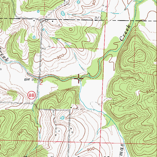 Topographic Map of Cahoochie Creek, MO