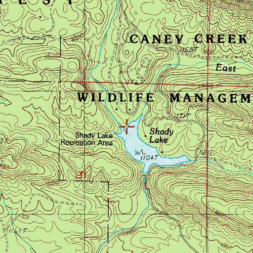 Topographic Map of East Saline Creek, AR