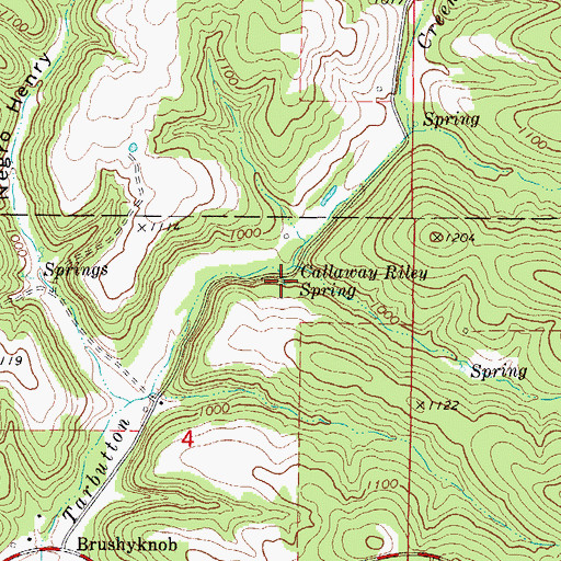 Topographic Map of Callaway Riley Spring, MO