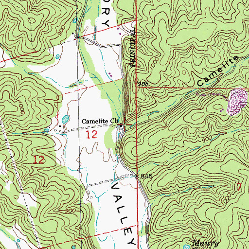 Topographic Map of Camelite Hollow, MO