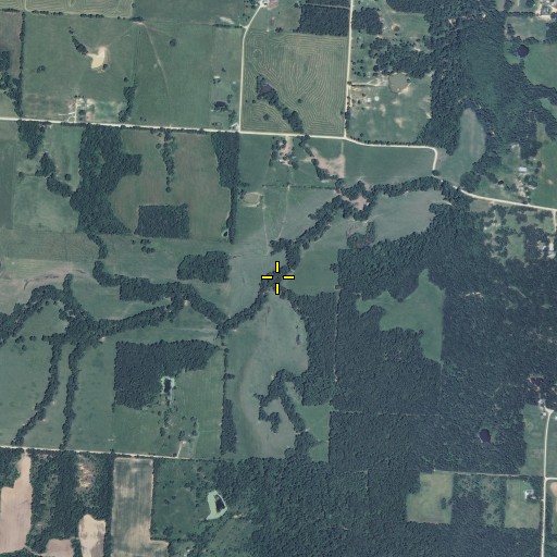 Aerial/Satellite Image of Camp Branch, MO