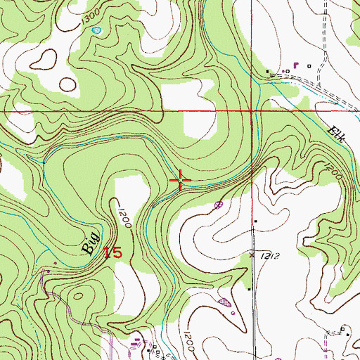 Topographic Map of Camp Branch, MO
