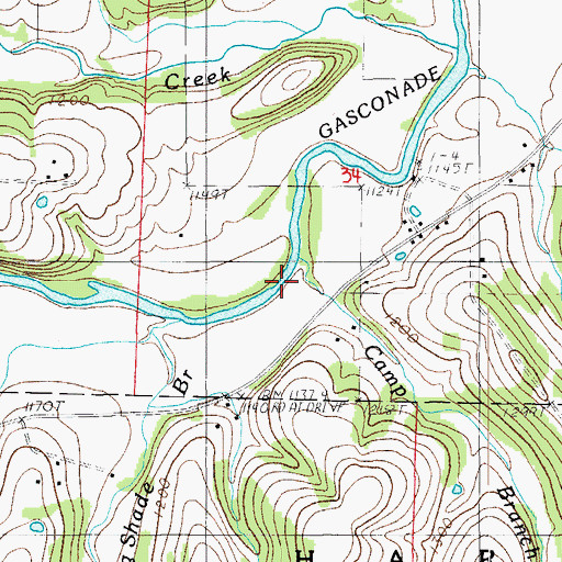 Topographic Map of Camp Branch, MO