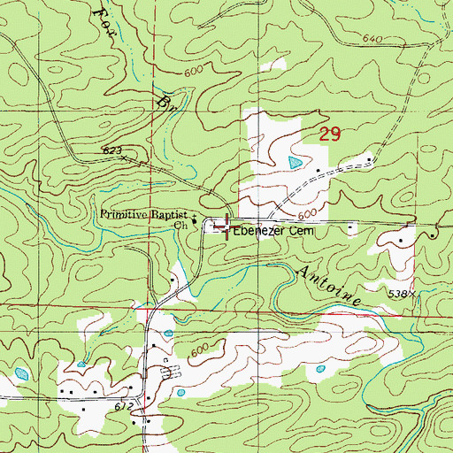 Topographic Map of Ebenezer Cemetery, AR