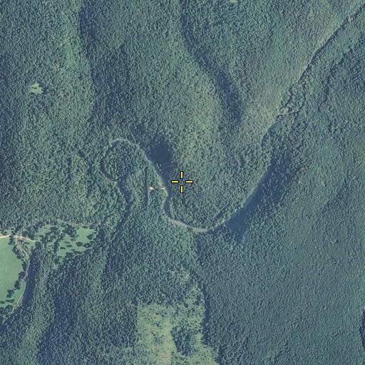 Aerial/Satellite Image of Cane Bluff, MO