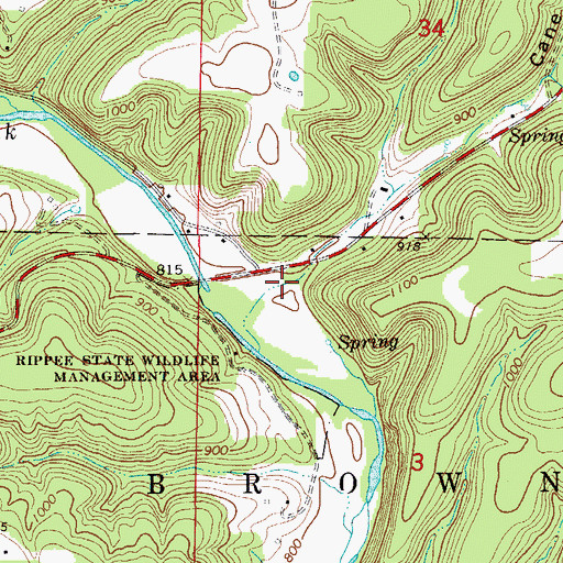 Topographic Map of Cane Hollow, MO