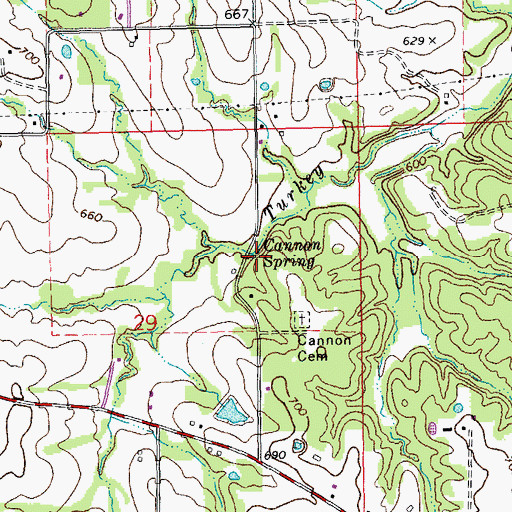 Topographic Map of Cannon Spring, MO