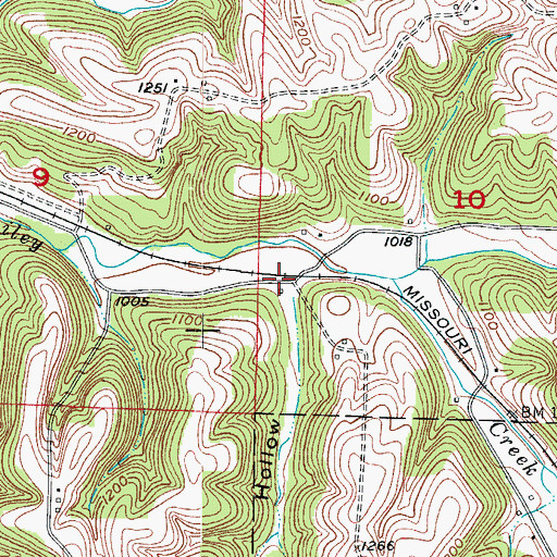 Topographic Map of Carico Hollow, MO