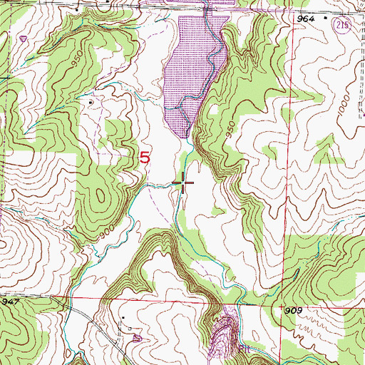 Topographic Map of Carmack Branch, MO