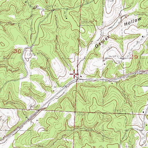Topographic Map of Carnes Hollow, MO