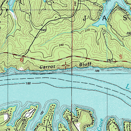 Topographic Map of Carrot Bluff, MO