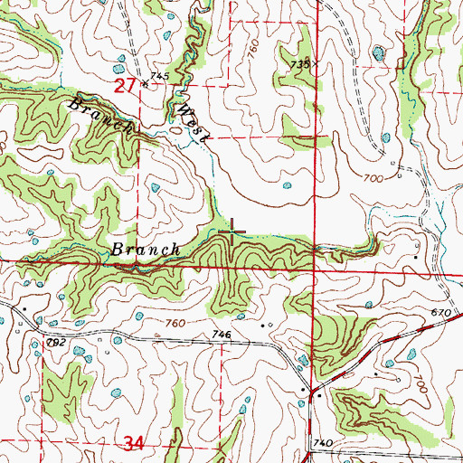 Topographic Map of Carson Branch, MO
