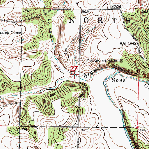 Topographic Map of Carson Branch, MO
