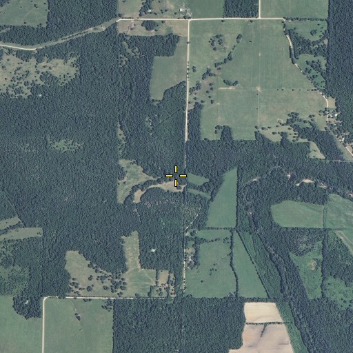 Aerial/Satellite Image of Carson Branch, MO