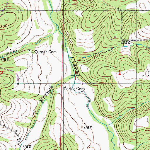 Topographic Map of Carter Branch, MO