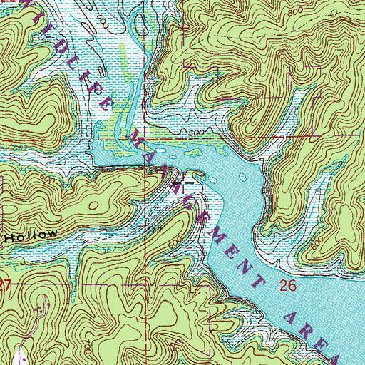 Topographic Map of Carter Hollow, MO