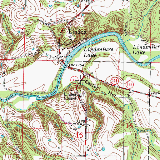Topographic Map of Carter Hollow, MO
