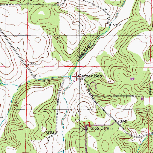 Topographic Map of Carter School, MO