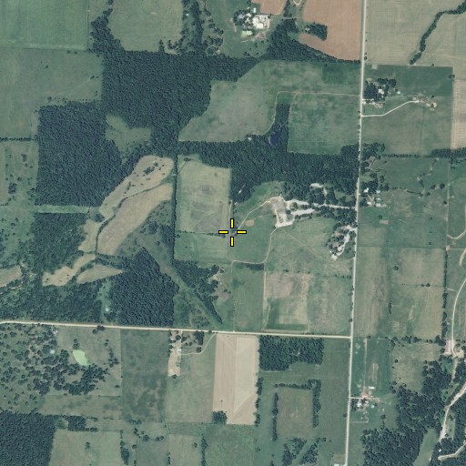 Aerial/Satellite Image of Carver Cemetery, MO
