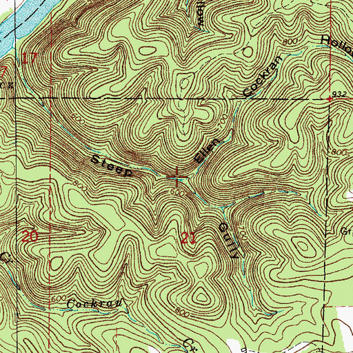 Topographic Map of Ellen Cockran Hollow, AR
