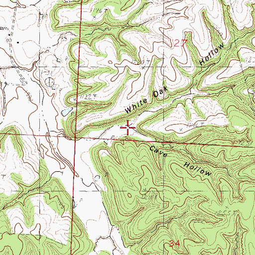 Topographic Map of Cave Hollow, MO