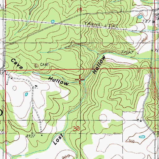 Topographic Map of Cave Hollow, MO