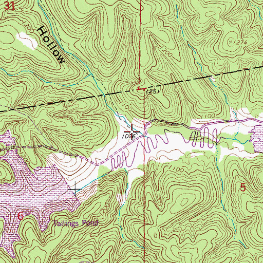 Topographic Map of Cave Hollow, MO